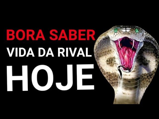 Read more about the article 🐍🤯 BORA SABER !!! VIDA DA RIVAL HOJE  [ RIVAL e SER AMADO HOJE ]