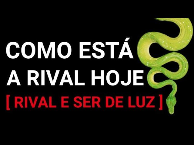 Read more about the article 🐍 COMO está a RIVAL HOJE  [ RIVAL e SER DE LUZ HOJE AGORA ]