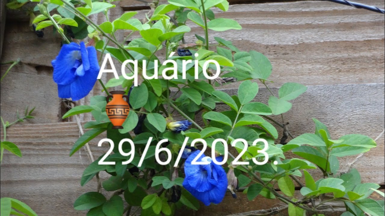 Read more about the article AQUÁRIO ♒🏺♥️Previsões  para o Signo para o dia 29 de Junho de 2023. #tarot #aquário