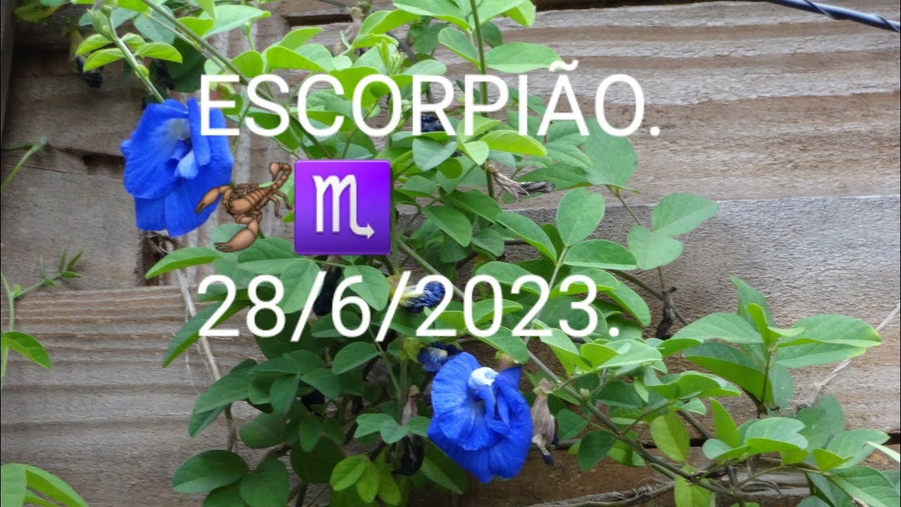 Read more about the article ESCORPIÃO 🦂♏♥️Previsões  para o Signo para o dia 29 de Junho 2023. #tarot #escorpião