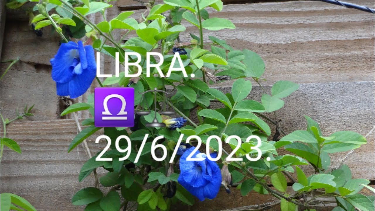 Read more about the article LIBRA ♎⚖ ❣Previsões  para o Signo para o dia 29 de Junho de 2023. #tarot   #libra