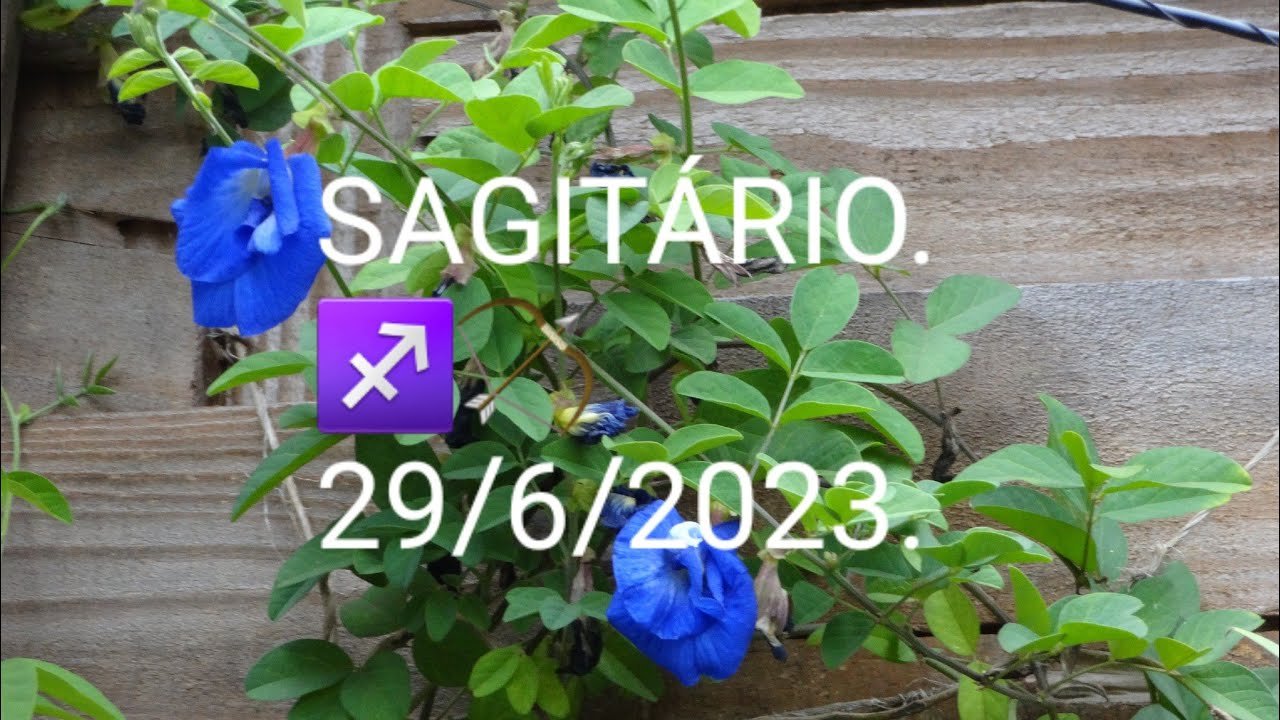 Read more about the article SAGITÁRIO.♐🏹♥️Previsões  para o Signo para o dia 29  de Junho de 2023. #tarot  #sagitário